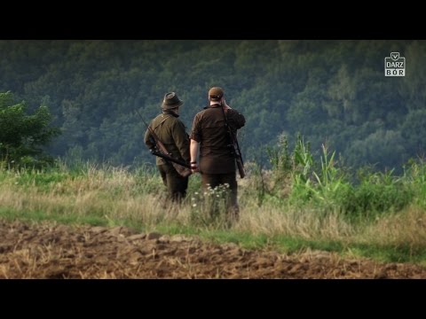 Darz Bór - odc. 111 - Polowanie na kozła z wabikiem cz. 1