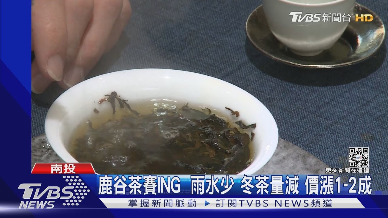 鹿谷茶賽大評比！雨水少冬茶量減　價漲1-2成