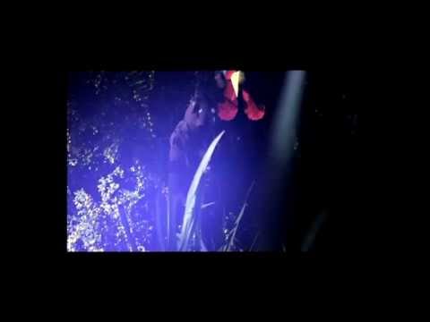 "The Swamp Turkey" by Sarcastic Unicorn - Four4 Horror Short Film Competition 2013