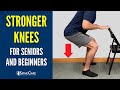 Easy Knee Strengthening Exercises For Seniors And Beginners