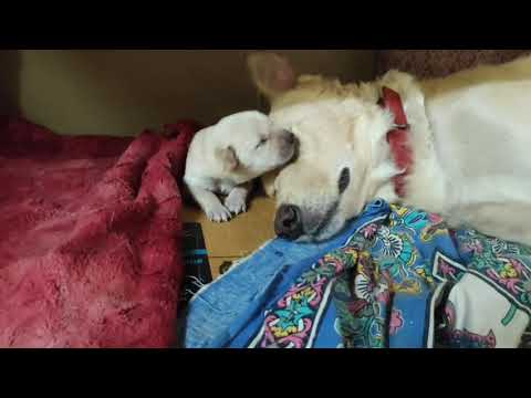 mama where is my food... struggle ❤️