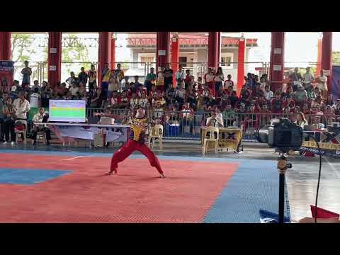 Palarong Pambansa 2025 | Arnis Event | BRAA | Gold Medalist🥇
