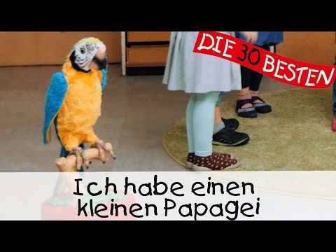 👩🏼 Ich habe einen kleinen Papagei - Singen, Tanzen und Bewegen || Kinderlieder