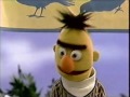 Sesame Street Keep The Park Clean For The Pigeons