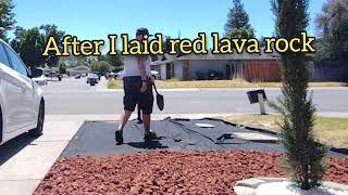 doing some yard renovation with red lava rock