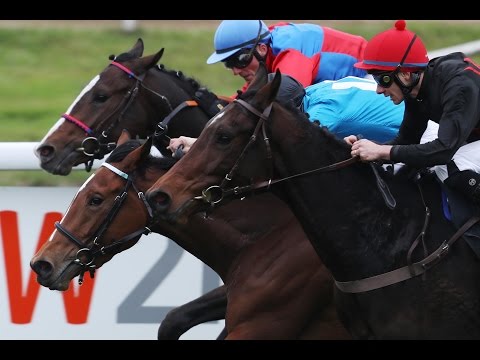 Dortmund: Preis der EBF Hengste (D) - Siegerin: Sexy Juke