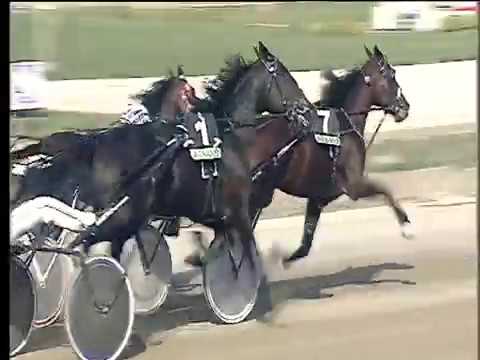 Trotto 20/10/2017 - 1ª corsa