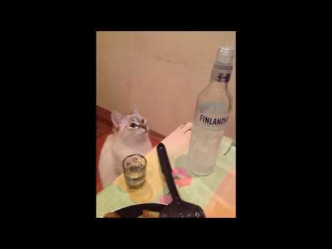 Nas ne dogonyat [Hardstyle]