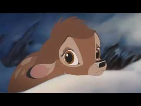 Tonny Boom - Bambi 2016