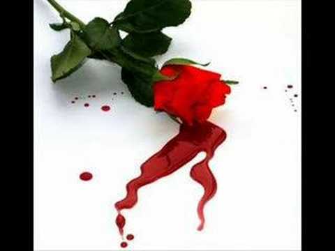 seni seviyorum saliha