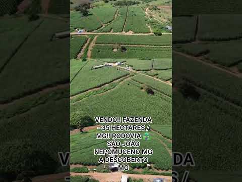 FAZENDA/ 35 HECTARES!! VENDE-SE... LOCALIZADA - NA RODOVIA 🛣 SÃO JOÃO NEPOMUCENO MG A DESCOBERTO.