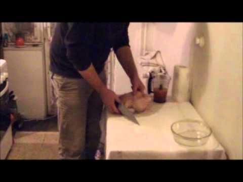 Puiul romanesc a ajuns in Portugalia!