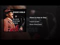 hubert sumlin-blues is here to stay