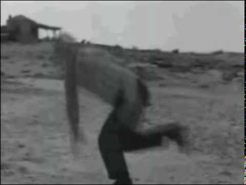 Zorba The Greek by Herb Alpert & The Tijuana Brass