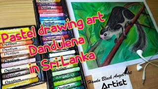 Pastel drawing art Dandulena in Sri Lanka 😘🐹