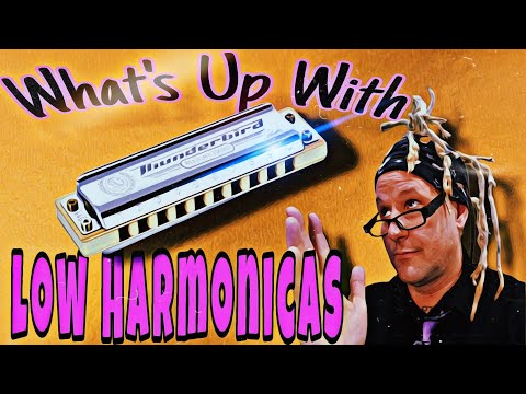 What's Up With Low Tuned Harmonicas?