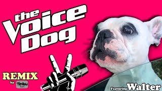 The Voice Dog (Remix) By Timbu Fun - feat. Walter Geoffrey The Frenchie