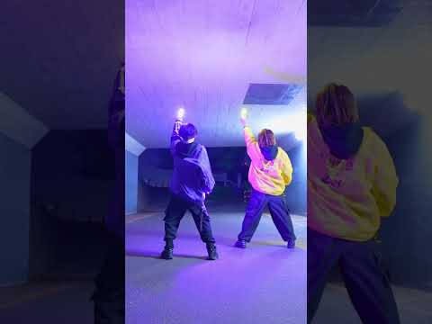 【TREND DANCE】Taylor Swift - Opalite【ほーくあいシュン】#ヲタ芸