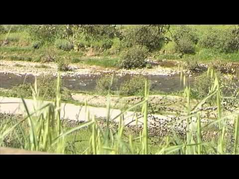 Fuentes de León, Ribera de "El Rincón"