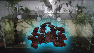 Lava Rocks for Aquarium
