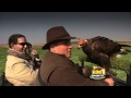 Real Sports With Bryant Gumbel: Falconry (HBO)