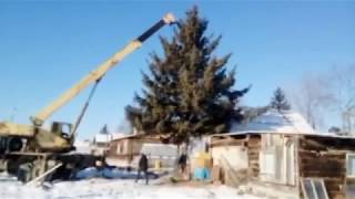 Прямая трансляция операции Ёлка 2017г.