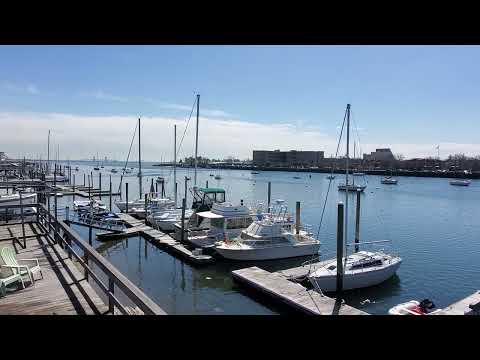 Sailboats ⛵️ 2980 Emmons Ave. Brooklyn