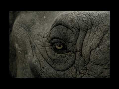 Deborah De Luca -  ROOM 3375 -  Sin Sin Remix