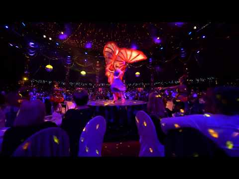 Duo Minasov Quick Change for Dinner Show