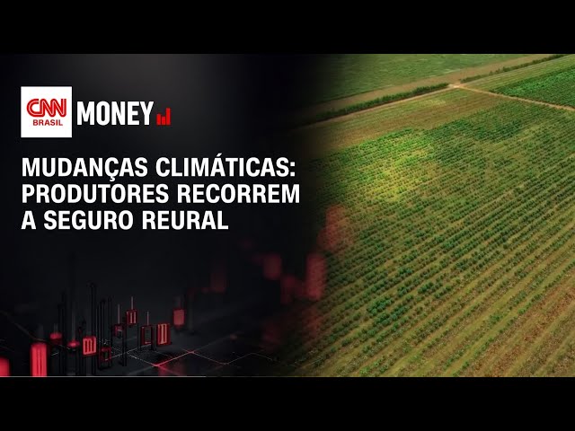 Mudanças climáticas: produtores recorrem a seguro rural | MORNING CALL