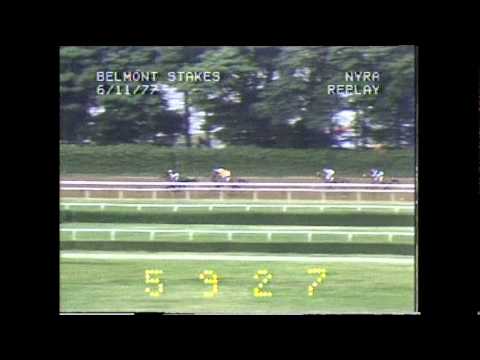 Seattle Slew - 1977 Belmont Stakes