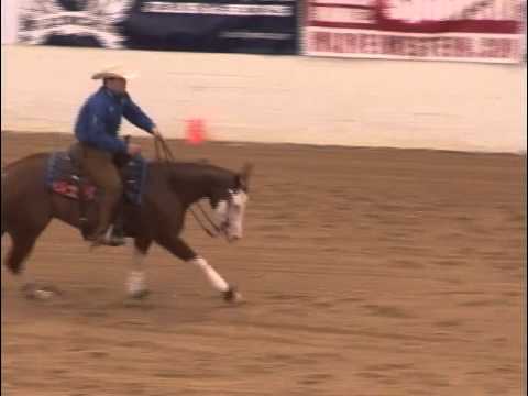 2012 HRRC Level 4 Open Futurity Champion winning run!