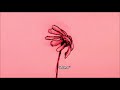Blonde Redhead — in particular [Español]