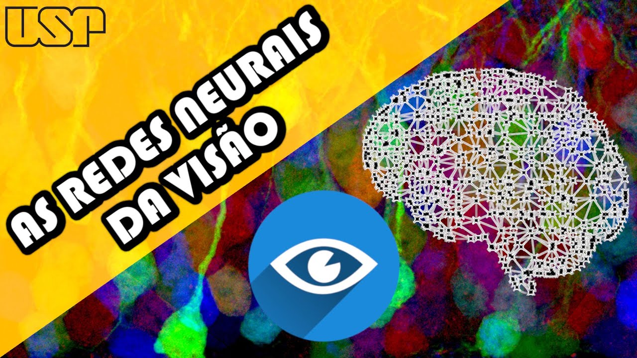 Como o seu CÉREBRO processa a VISÃO? #Neurociência