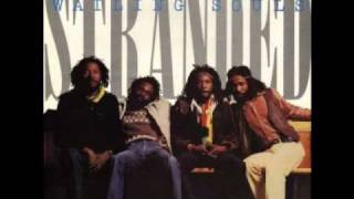 Wailing Souls & Roots Radics - Divided And Rule