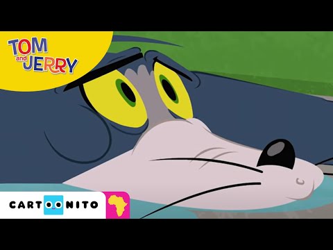 Tom and Jerry: No Luck | Cartoonito Africa