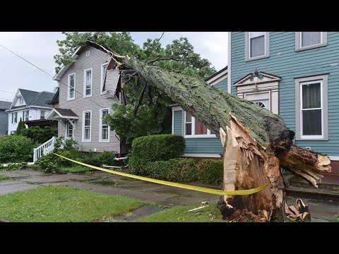 Dangerous Idiots Tree Felling Fails With Chainsaw, Big Tree Removal Fails Falling On Houses