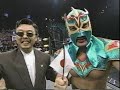 Pro Wrestling