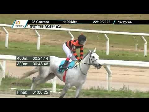 221022 c03 - NORTH VINEYARD - HIPODROMO LAS PIEDRAS