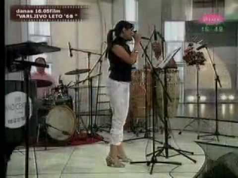 Fields of Gold (live)- Sanja Bogosavljevic - (Sting).flv