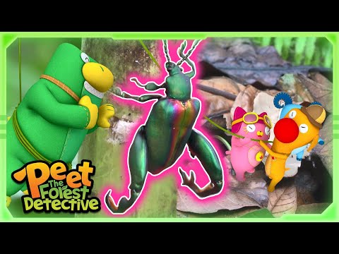 Mystery Bulging Legs? (Beetles!) 🦵🔍  | Full Episode | Cartoons for Kids | Peet The Forest Detective