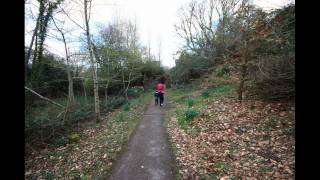 classic cars and macroom