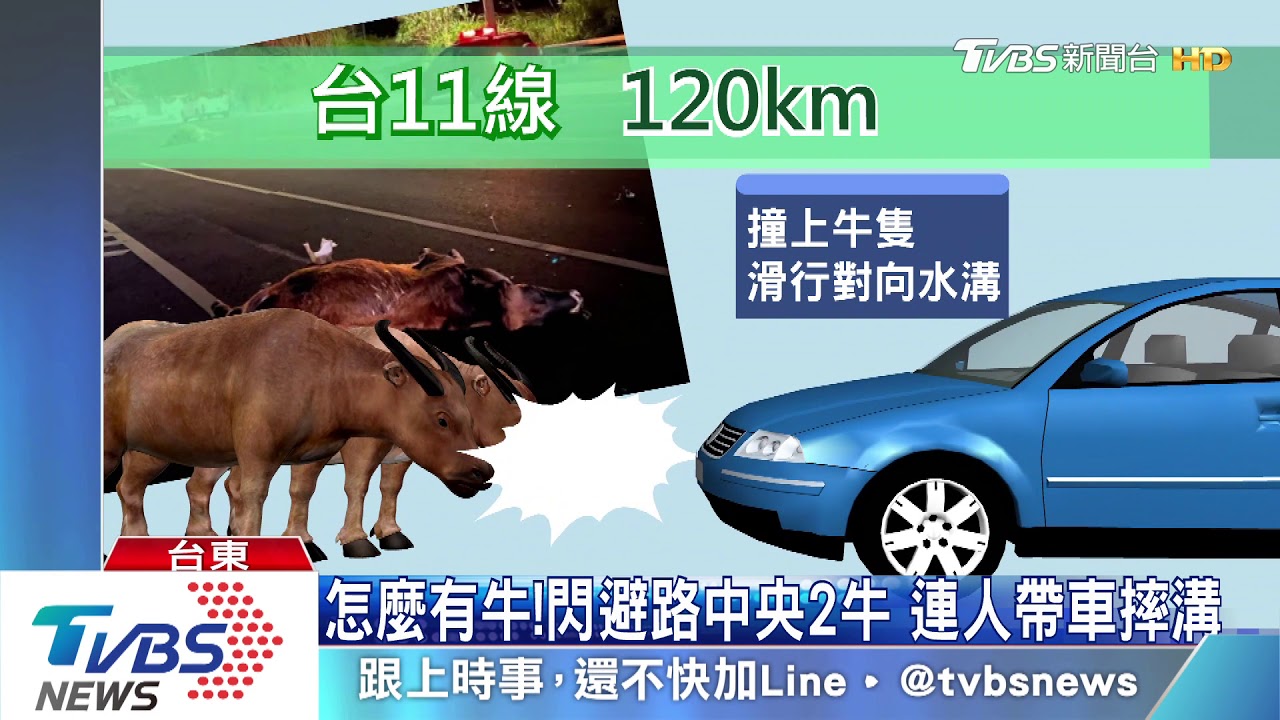 怎麼有牛!閃避路中央2牛 連人帶車摔溝