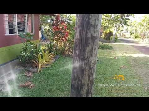 Tautai A'e_SJ Demarco_Cover by_LOGO AFIAFI BAND_(Travis Ma'uu ft Tovi & Danny)