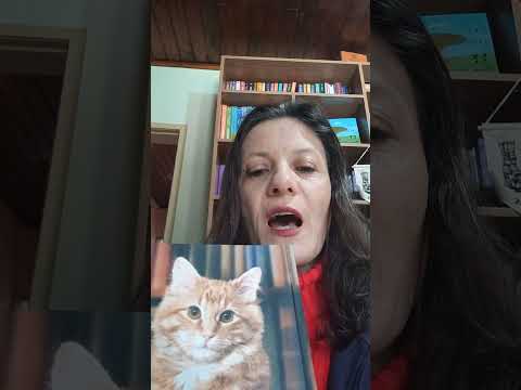 video thumnail