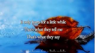 It only hurts for a little while /Anne Murray  (with Lyrics)