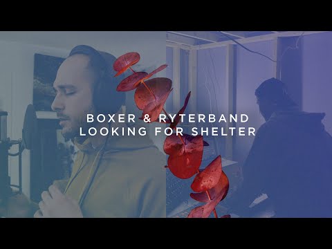 Boxer & RYTERBAND - Looking For Shelter (Studio Session)