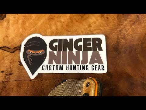 Reviewing the  Ginger Ninja Tab
