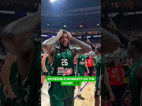 Panathinaikos CELEBRATION on the court | Minutes after the WIN | FINAL FOUR in BERLIN