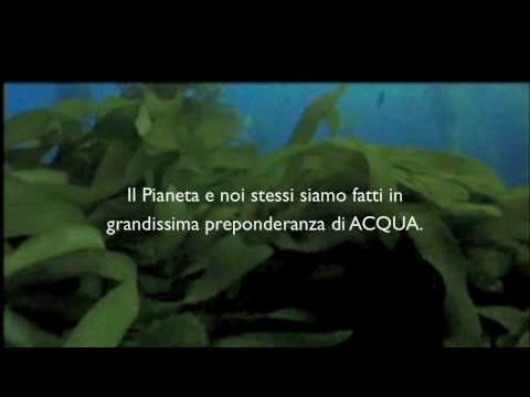 Che è sovrapposto sulla caviglia quando è danneggiata Displasia in adulti conseguenze